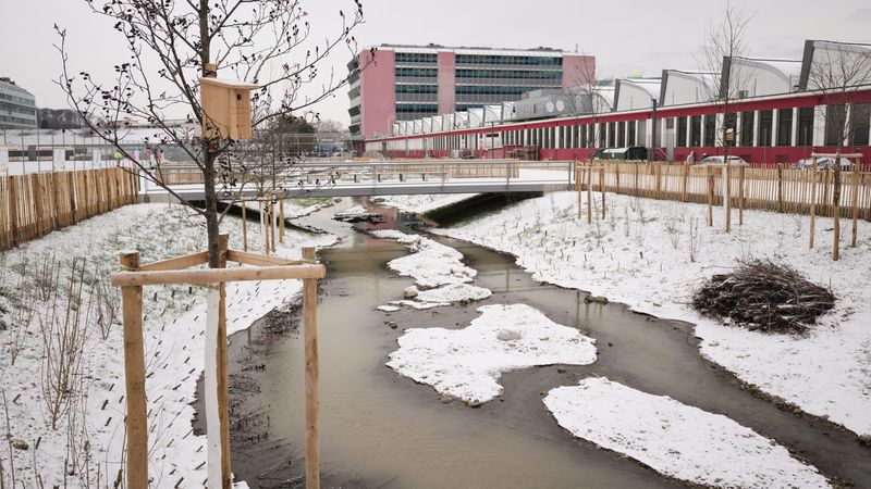 Remise à ciel ouvert de la Drize, PAV, Genève – Secteur Boissonnas : rivière en eau, vue d’hivers – Loris von Siebenthal